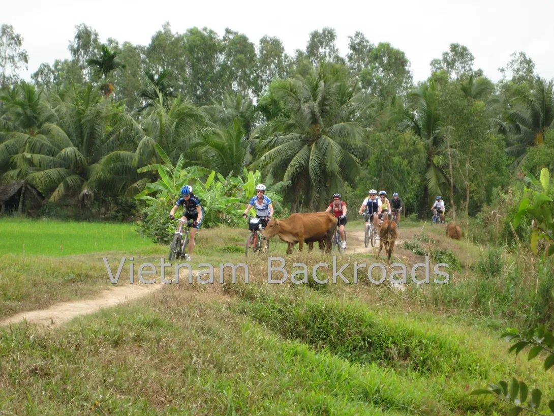 Mekong Bike Tours - Vietnam Cycling Tours