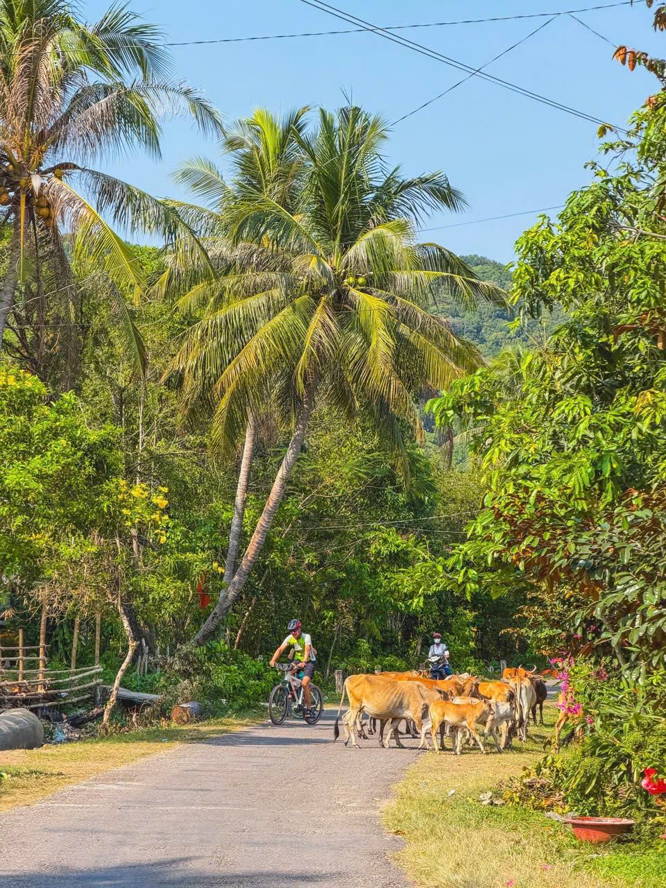 Laos
