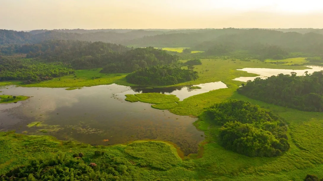 Cycling to explore Nam Cat Tien Park with Vietnam Backroads